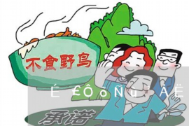 滨州债务清欠服务